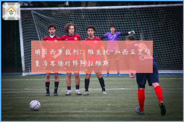 明日西甲裁判：维克托-加西亚主哨皇马客场对阵阿拉维斯