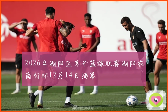 2026年潮阳区男子篮球联赛潮阳农商行杯12月14日揭幕