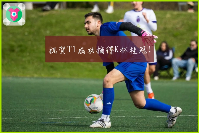 祝贺T1成功摘得K杯桂冠！